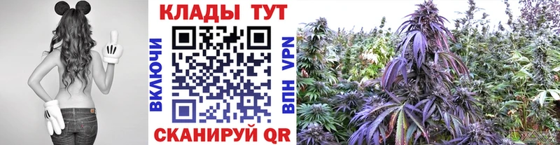 Где купить наркотики Хотьково COCAIN  Бутират  ГАШ 