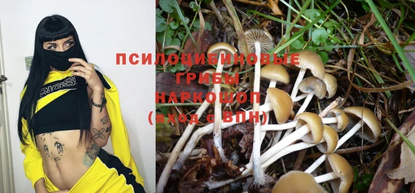 скорость Алзамай