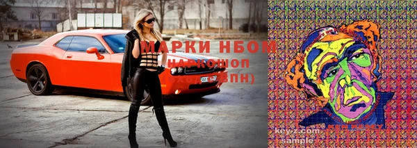 индика Алексин