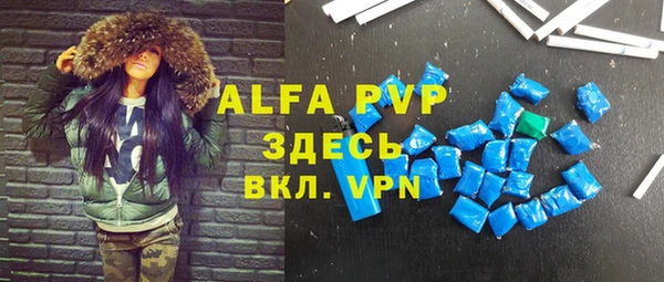 индика Алексин