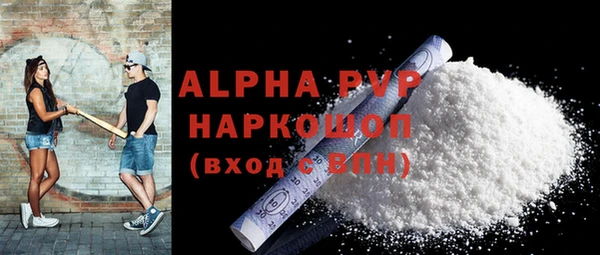 индика Алексин