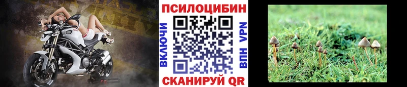 Галлюциногенные грибы Magic Shrooms  Хотьково 